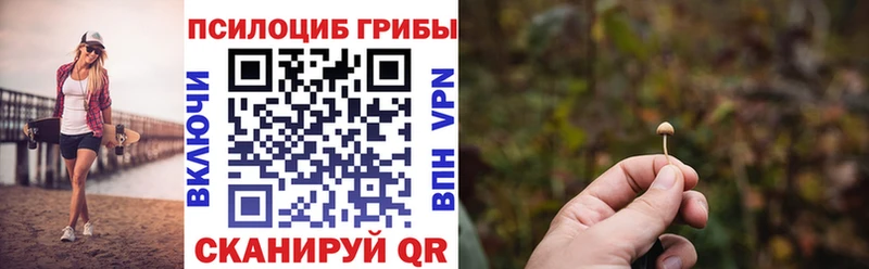 Псилоцибиновые грибы мухоморы  mega tor  Всеволожск 