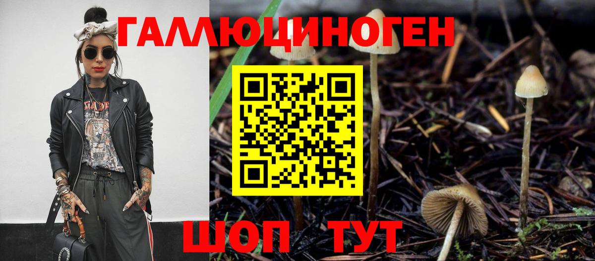 Галлюциногенные грибы GOLDEN TEACHER Всеволожск
